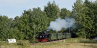 2017-09-17_RK_4660_Festival_Loessnitzgrund.JPG