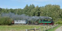 2017-09-17_RK_4703_Festival_Loessnitzgrund.JPG