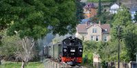 2017-09-17_RK_4813_Festival_Loessnitzgrund.JPG