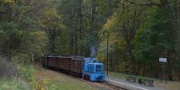 2017-10-28_RK_7251_Fisch-_und_Waldfest.JPG