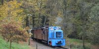 2017-10-28_RK_7276_Fisch-_und_Waldfest.JPG
