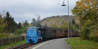 2017-10-28_RK_7338_Fisch-_und_Waldfest.JPG