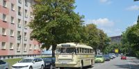 2018-07-1_RK_5875_Festival_Weisseritztal.JPG