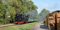 2018-09-15_RK_1841_Festival_Loessnitzgrund.JPG