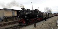 2019-03-03_DP_0752_Karnevalsexpress.JPG
