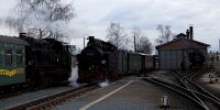 2019-03-03_DP_0779_Karnevalsexpress.JPG