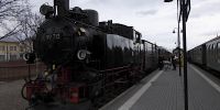 2019-03-03_DP_0786_Karnevalsexpress.JPG