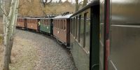 2019-03-03_DP_0797_Karnevalsexpress.JPG