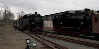 2019-03-03_DP_0825_Karnevalsexpress.JPG