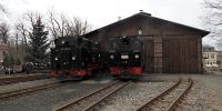 2019-03-03_DP_0866_Karnevalsexpress.JPG