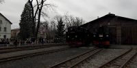 2019-03-03_DP_0867_Karnevalsexpress.JPG