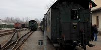2019-03-03_DP_0868_Karnevalsexpress.JPG