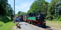 2019-06-09_RK_6715_Charterfahrt_IGVW.jpg