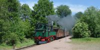 2019-06-09_RK_6809_Charterfahrt_IGVW.jpg