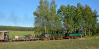 2019-09-14_RK_6636_Festival_Loessnitzgrund.JPG