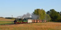 2019-09-14_RK_6652_Festival_Loessnitzgrund.JPG
