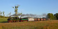 2019-09-14_RK_6658_Festival_Loessnitzgrund.JPG