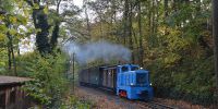 2019-10-26_RK_Fisch-und_Waldfest_1.jpg