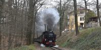 2021-04-03_Osterhasenexpress_TRR_RK_1.jpg