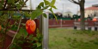 DSC_1493_22-04-16_14_LK_web.JPG