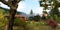 Festival_Weisseritztalbahn.JPG
