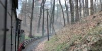 IMG_4399_DM.JPG