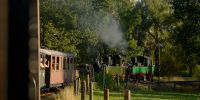 LK_2019-09-14DSC_0212.JPG
