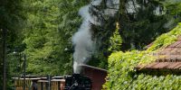 LK_2020-07-05_DSC_1091.JPG