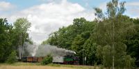 LK_2020-07-05_DSC_1204.JPG