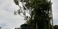 LK_2020-07-05_DSC_1246.JPG