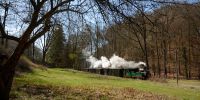 LK_2021-04-04_0DSC_0757.JPG