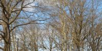 LK_2021-04-04_4DSC_0815.JPG