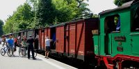 x_2010-06-06_Weisses_Ross_8877.JPG