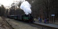 x_2011-03-06_Loessnitzgrund_5680.JPG