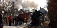 x_2011-03-06_Weisses_Ross_5664.JPG