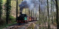 x_2011-04-09_Loessnitzgrund_0061.JPG