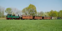 x_2011-04-23_Baernsdorf_6970.JPG