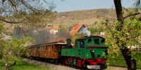 x_2011-04-23_Radebeul_7003.JPG