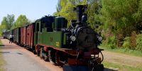 x_2011-04-24_Baernsdorf_7172.JPG